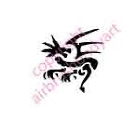 0021 dragon re-usable stencil