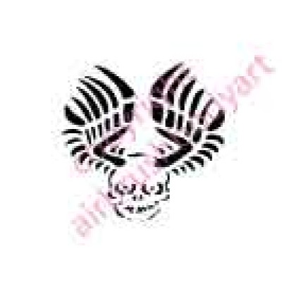 0031 skull with wings re-usable stencil