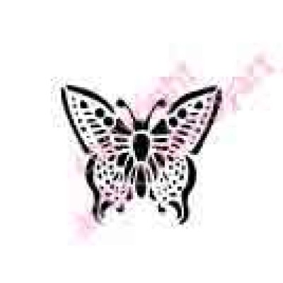 0397 butterfly