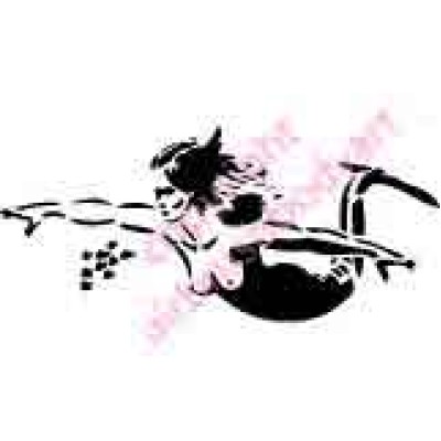 0491 mermaid and fish