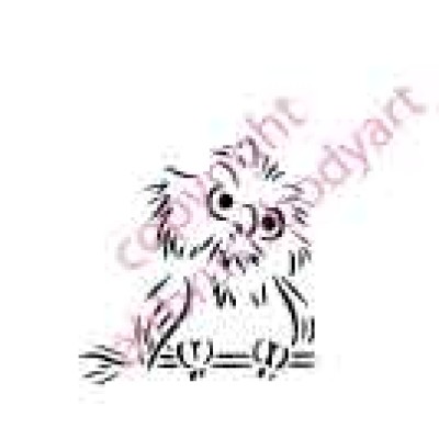 0503 owl