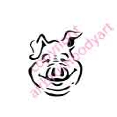 0716 pig head