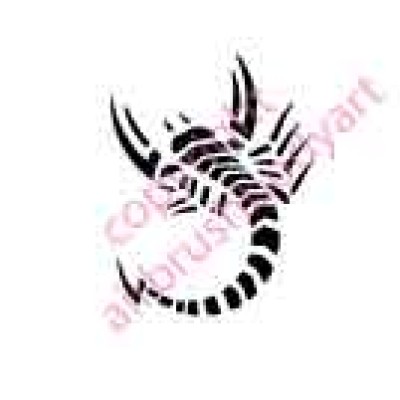 0721 scorpion