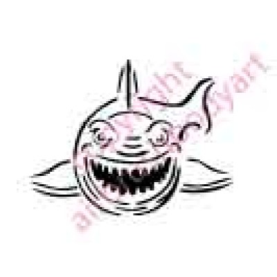0729 shark