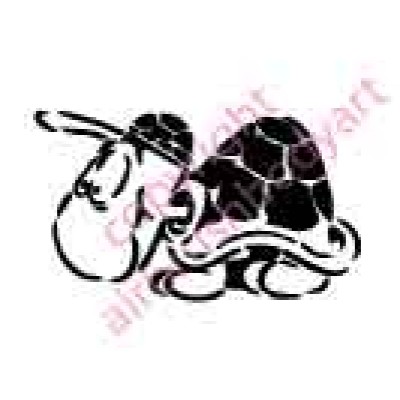 0777 turtle