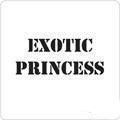 0811 reusable exotic princess stencil