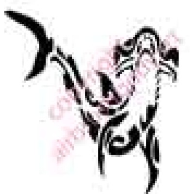 1040 hammerhead shark