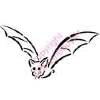 1096 vampire bat