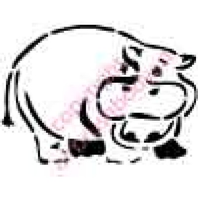1105 hippo