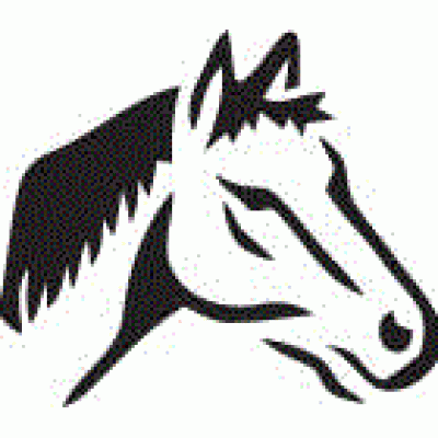 6153 horse reusable stencil