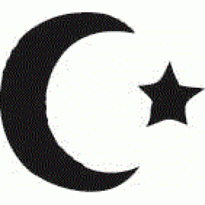 6161 moon and star reusable stencil