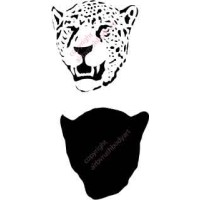 l007 leopard