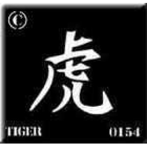 0154 reusable kanji / chinese writing asian tiger stencil