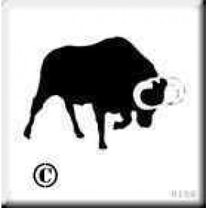 0198 reusable bull stencil
