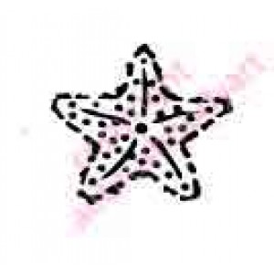 0387 starfish