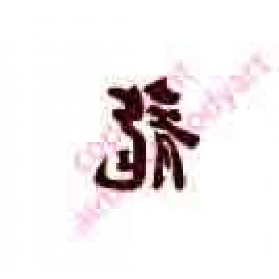 0422 kanji/chinese writing dragon