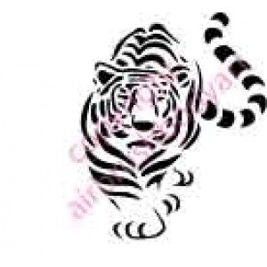 0526 tiger