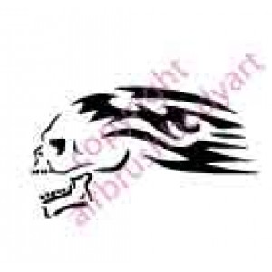 0614 tribal skull