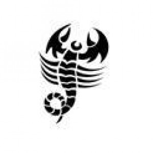 0722 reusable scorpion stencil