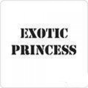 0811 reusable exotic princess stencil