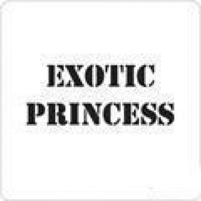 0811 reusable exotic princess stencil