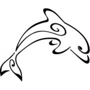 6047 dolphin