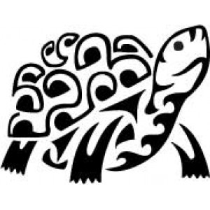 6091 tortoise stencil