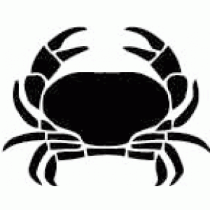 6209 crab reusable stencil